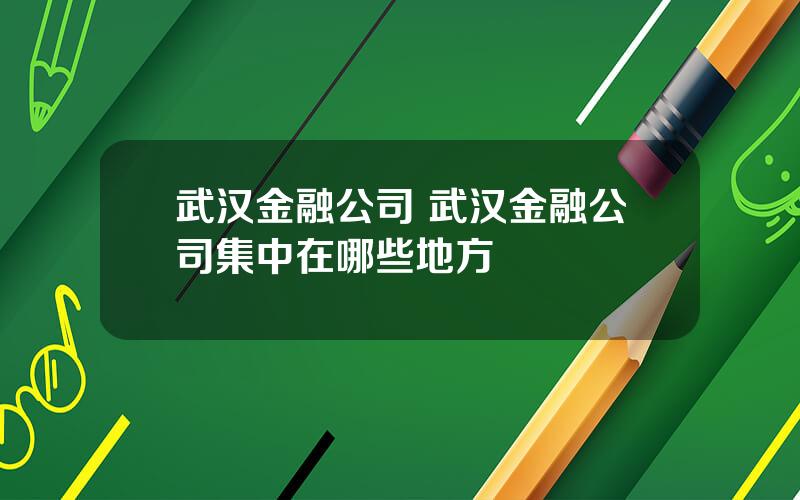 武汉金融公司 武汉金融公司集中在哪些地方